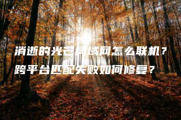 消逝的光芒局域网怎么联机？跨平台匹配失败如何修复？ | ae插件合集