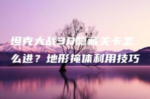 坦克大战3D隐藏关卡怎么进？地形掩体利用技巧 | ae插件合集