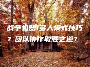 战争机器1多人模式技巧？团队协作取胜之道？ | ae插件合集