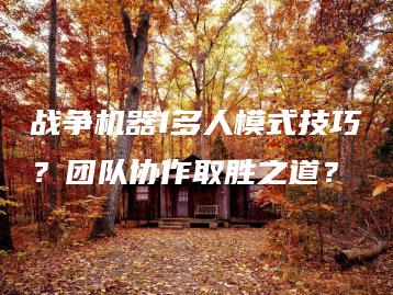 战争机器1多人模式技巧？团队协作取胜之道？ | ae插件合集