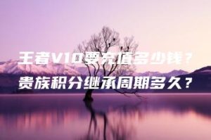 王者V10要充值多少钱？贵族积分继承周期多久？ | ae插件合集