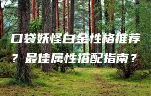 口袋妖怪白金性格推荐？最佳属性搭配指南？ | ae插件合集