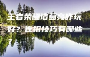 王者荣耀诸葛亮咋玩好？连招技巧有哪些？ | ae插件合集