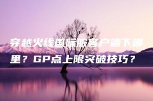 穿越火线国际服客户端下哪里？GP点上限突破技巧？ | ae插件合集