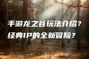 手游龙之谷玩法介绍？经典IP的全新冒险？ | ae插件合集