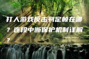 打人游戏反击判定帧在哪？连段中断保护机制详解？ | ae插件合集