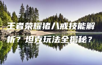 王者荣耀猪八戒技能解析？坦克玩法全揭秘？ | ae插件合集