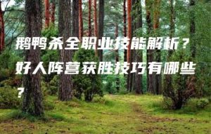 鹅鸭杀全职业技能解析？好人阵营获胜技巧有哪些？ | ae插件合集