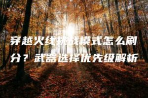 穿越火线挑战模式怎么刷分？武器选择优先级解析 | ae插件合集