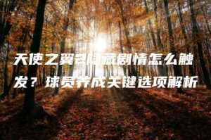 天使之翼2隐藏剧情怎么触发？球员养成关键选项解析 | ae插件合集
