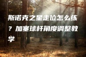 斯诺克之星走位怎么练？加塞球杆角度调整教学 | ae插件合集