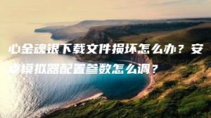 心金魂银下载文件损坏怎么办？安卓模拟器配置参数怎么调？ | ae插件合集