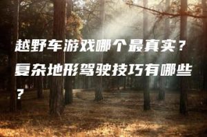 越野车游戏哪个最真实？复杂地形驾驶技巧有哪些？ | ae插件合集