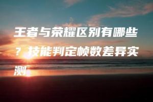 王者与荣耀区别有哪些？技能判定帧数差异实测 | ae插件合集