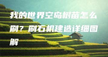 我的世界空岛树苗怎么刷？刷石机建造详细图解 | ae插件合集