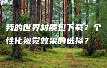 我的世界材质包下载？个性化视觉效果的选择？ | ae插件合集