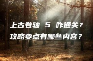 上古卷轴 5 咋通关？攻略要点有哪些内容？ | ae插件合集