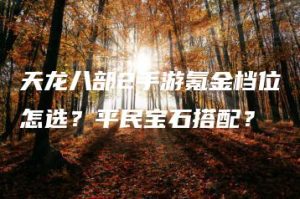 天龙八部2手游氪金档位怎选？平民宝石搭配？ | ae插件合集