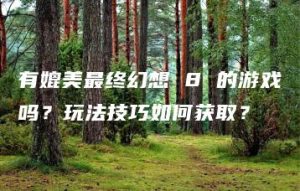 有媲美最终幻想 8 的游戏吗？玩法技巧如何获取？ | ae插件合集