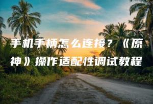 手机手柄怎么连接？《原神》操作适配性调试教程 | ae插件合集