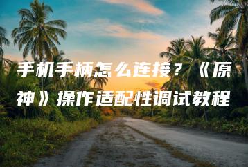 手机手柄怎么连接？《原神》操作适配性调试教程 | ae插件合集