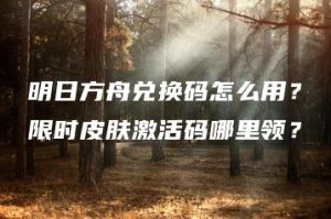 明日方舟兑换码怎么用？限时皮肤激活码哪里领？ | ae插件合集