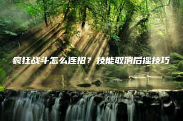 疯狂战斗怎么连招？技能取消后摇技巧 | ae插件合集