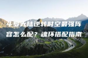 斗罗大陆逆转时空最强阵容怎么配？魂环搭配指南 | ae插件合集