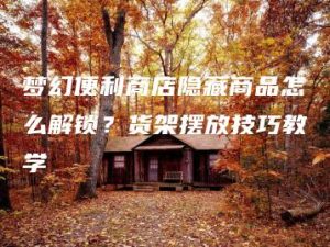 梦幻便利商店隐藏商品怎么解锁？货架摆放技巧教学 | ae插件合集