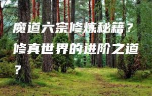 魔道六宗修炼秘籍？修真世界的进阶之道？ | ae插件合集