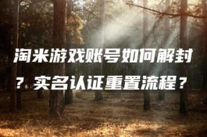 淘米游戏账号如何解封？实名认证重置流程？ | ae插件合集
