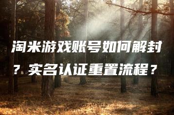 淘米游戏账号如何解封？实名认证重置流程？ | ae插件合集