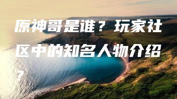 原神哥是谁？玩家社区中的知名人物介绍？ | ae插件合集