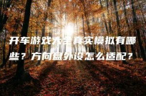 开车游戏大全真实模拟有哪些？方向盘外设怎么适配？ | ae插件合集