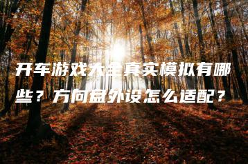 开车游戏大全真实模拟有哪些？方向盘外设怎么适配？ | ae插件合集