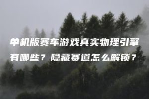 单机版赛车游戏真实物理引擎有哪些？隐藏赛道怎么解锁？ | ae插件合集