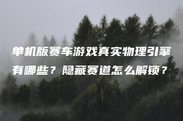单机版赛车游戏真实物理引擎有哪些？隐藏赛道怎么解锁？ | ae插件合集