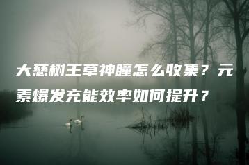 大慈树王草神瞳怎么收集？元素爆发充能效率如何提升？ | ae插件合集