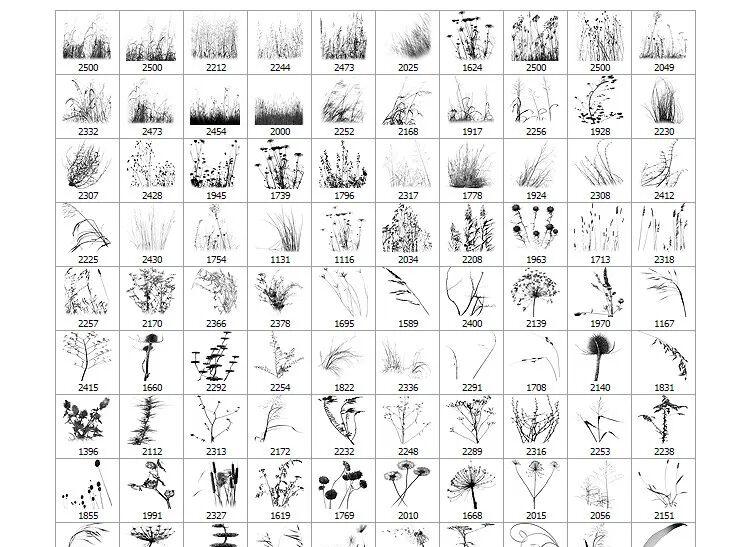 图片[14] | 99999 款 PS 笔刷打包下载 绘画人必备神器 | ae插件合集