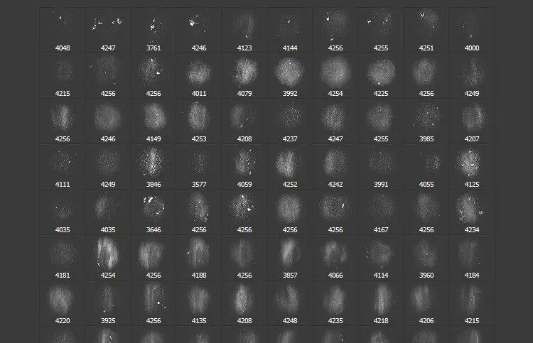 图片[11] | 99999 款 PS 笔刷打包下载 绘画人必备神器 | ae插件合集